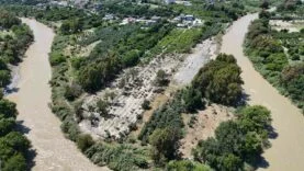 AŞIRI YAĞIŞLARLA DEBİSİ ARTAN ASİ NEHRİ'NDEN GELEN TAŞ YIĞINLARI, ONLARCA TARIM ARAZİSİNE ZARAR VERDİ