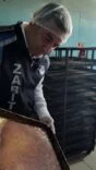 zabıta