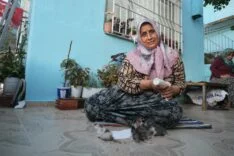 ANNELERİ TELEF OLAN YAVRU KEDİLERİ MERHAMETİYLE BÜYÜTEN KADIN, HAYVANLARI BİBERONLA BESLİYOR