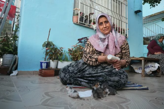 ANNELERİ TELEF OLAN YAVRU KEDİLERİ MERHAMETİYLE BÜYÜTEN KADIN, HAYVANLARI BİBERONLA BESLİYOR