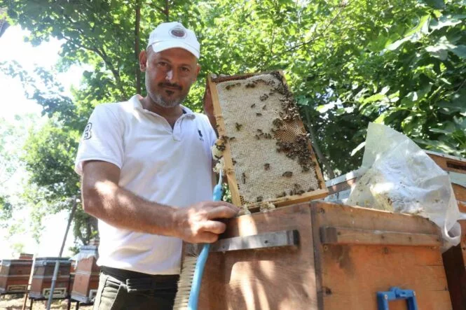 GÜNLER SÜREN YAĞIŞLARLA BİRLİKTE AÇAN ÇİÇEKLER ARILARI SEVİNDİRİRKEN BAL HASADI YÜZ GÜLDÜRDÜ