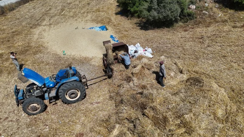 Hataylı çiftçilerin kavurucu sıcakta tozlu mesaisi sürüyor