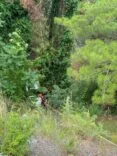 DÖRTYOL’DA UÇURUMDAN UÇAN OTOMOBİLİN SÜRÜCÜSÜ YARALANDI