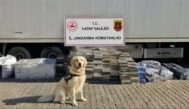 EŞYA TAŞINAN TIR DORSESİNDEN 3 BİN KARTON KAÇAK SİGARA ÇIKTI