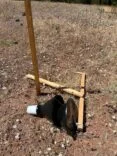 HASSA ORMAN İŞLETME ŞEFLİĞİNDEN TUZAKLARA ZARAR VERMEYİN UYARISI