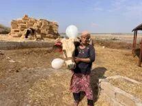 BUZAĞILARI VE İNEĞİ TELEF OLAN KADIN, ŞANLIURFA'DAN GELEN İYİLİK DOLU KAMYONETLE MUTLULUK GÖZYAŞLARI DÖKTÜ
