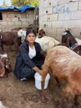 BABASINA DESTEK ÇIKMAK İÇİN KEÇİ BESLEYİP HAYVAN TİCARETİ YAPMAYA BAŞLADI