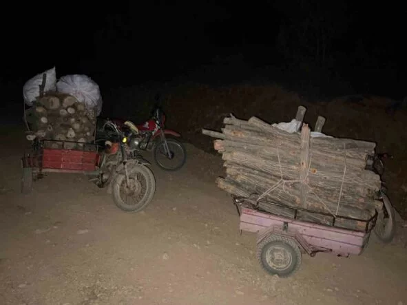 HASSA’DA ORMANDA USULSÜZ KESİM YAPAN ŞAHISLAR YAKALANDI