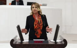 nermin kara