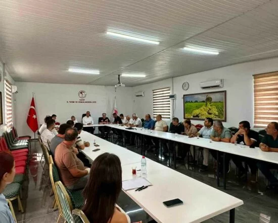 HATAY'DA SALÇA ÜRETİCİLERİYLE SEKTÖREL DEĞERLENDİRME TOPLANTISI GERÇEKLEŞTİRİLDİ