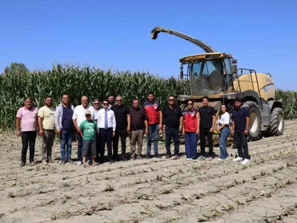 ARSUZ’DA SİLAJLIK MISIR HASADI BAŞLADI