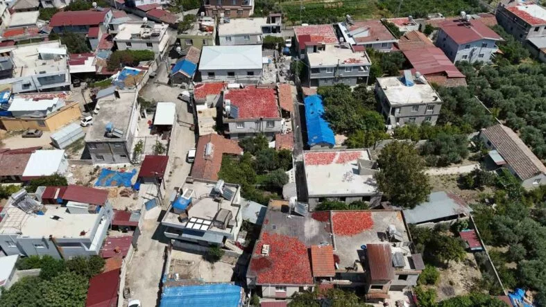 Kavurucu sıcakta devam eden acı mesaiyle birlikte damlar kırmızıya büründü