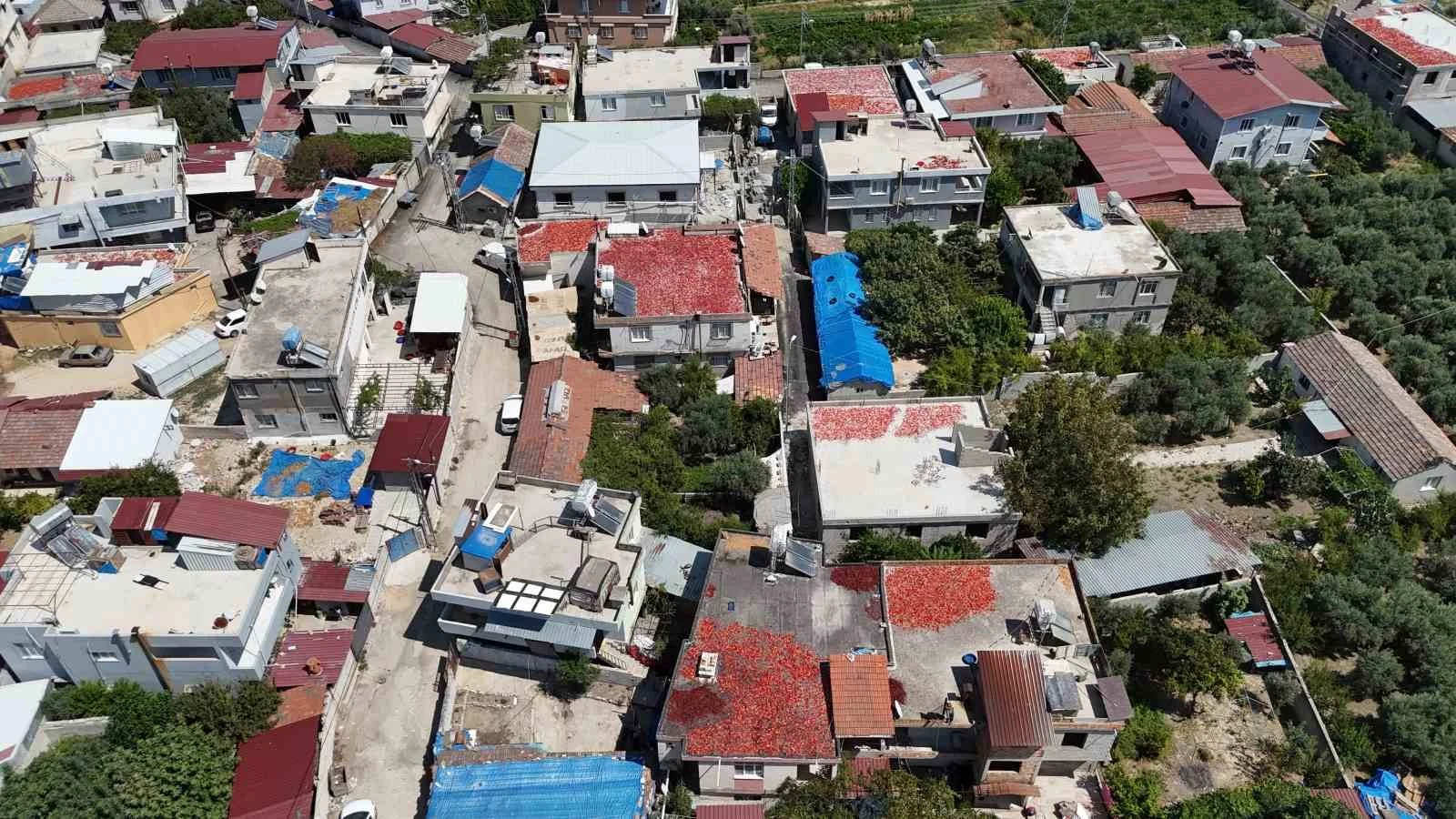 Kavurucu sıcakta devam eden acı mesaiyle birlikte damlar kırmızıya büründü