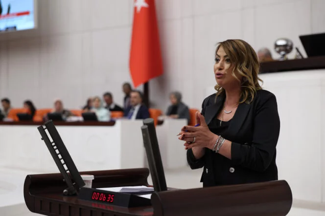 ELIF6616