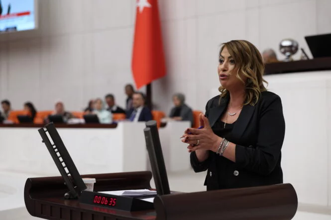 ELIF6616