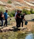 HATAY’DAKİ BARAJ VE GÖLETLERE 682 BİN SAZAN YAVRUSU BIRAKILDI