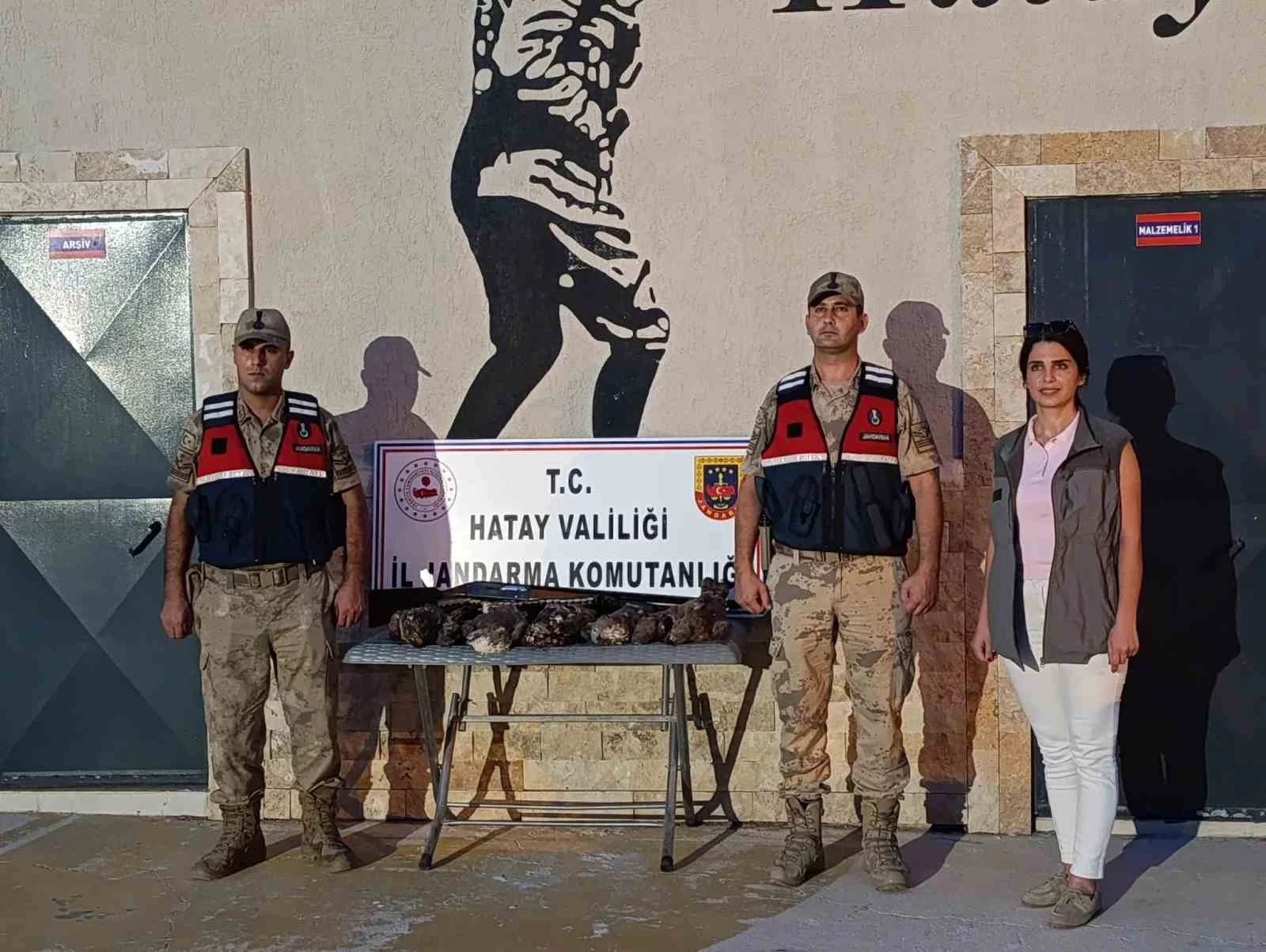 Hatay’da 7 arı şahini avlayan şahsa ceza yağdı
