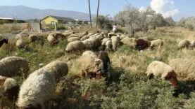 maaşlarıyal gündem olan