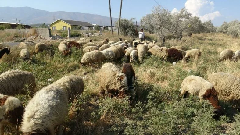maaşlarıyal gündem olan