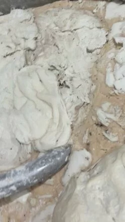 Hamam böceği ve sigara izmaritinden geçilmeyen fırında mide bulandıran görüntüler