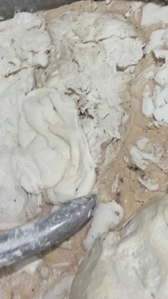 Hamam böceği ve sigara izmaritinden geçilmeyen fırında mide bulandıran görüntüler