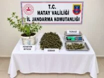KUMLU'DA UYUŞTURUCU OPERASYONU: 1 TUTUKLUMA